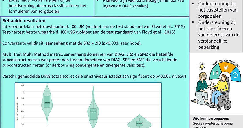 1e fase diag posterpresentatie hinke drijver